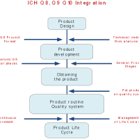 ICH Q11   Q and A Document